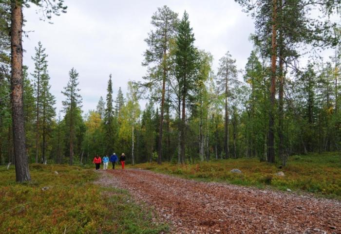 Taruilevi 2 - Villa Levin Taiga - Cabin Close To The Center Of Levi Kittilä Екстериор снимка